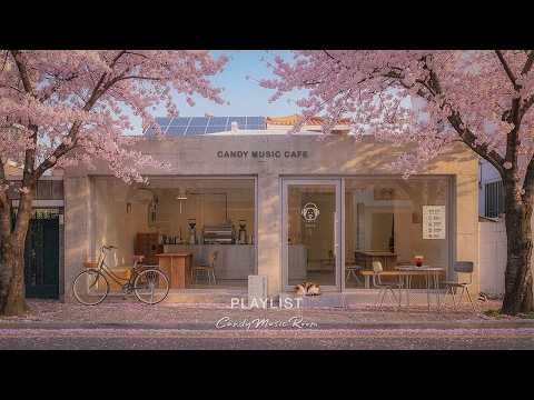 Spring breeze and sweet k-indie ? chill korean cafe playlist thumbnail
