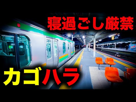 【野宿確定】もはやハラスメント...寝過ごすと市街地一歩先の絶望へ誘う恐怖の終電を乗り通してみた｜終電で終点に行ってみた#140 thumbnail