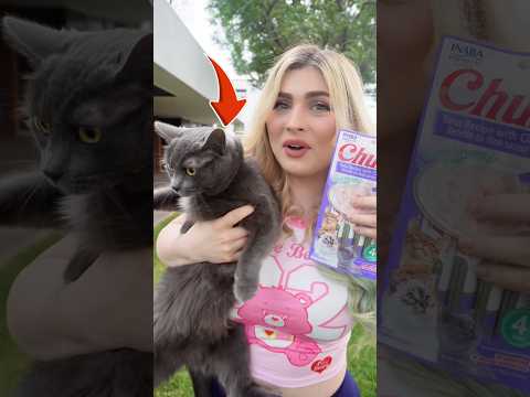 Le HICE PALETAS HELADAS a MI GATITA BEBÉ!! 🍧😻 thumbnail