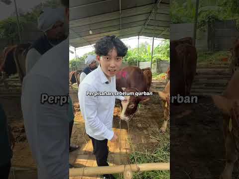Dadah rama thumbnail