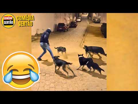 Vídeos ENGRAÇADOS 2024 - Tente Não Rir Memes thumbnail