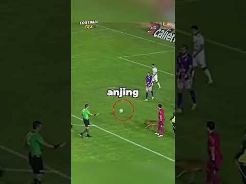Momen Luar Biasa di Lapangan Hijau ?? #football #footballshorts #sepakbola #beritabola #updatebola thumbnail