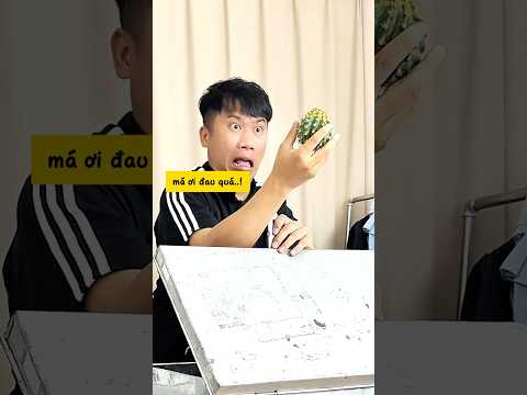 Dùng sương rồng để ngăn anh trai ngủ nướng chơi game #funny #haihuoc #giaitri thumbnail