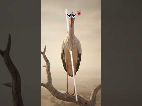 Hewan dengan Kisah Anomali thumbnail