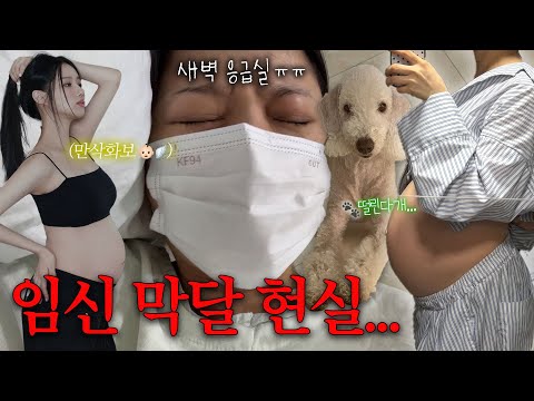 D-2??한 치 앞을 모르는 임신 막달 브이로그?? | 만삭화보? • 공포의 내진 후기? • 새벽 응급실행까쥐? thumbnail