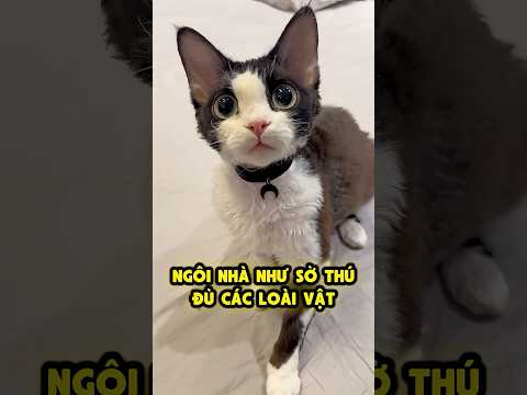 Thế Giới PET Cưng | Ốc Nhuộm Màu⁉️ 😬 thumbnail