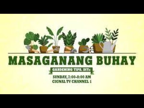 Masaganang Buhay Livestream | May 17, 2026 thumbnail