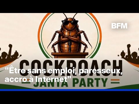 “Le Parti des cafards”: en Inde, un mouvement politique satirique mobilise la jeunesse thumbnail