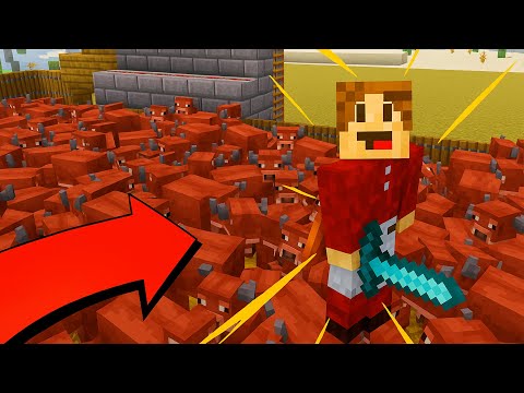Aku SEMBELIH 1000 EKOR LEMBU Sempena Raya Korban! thumbnail