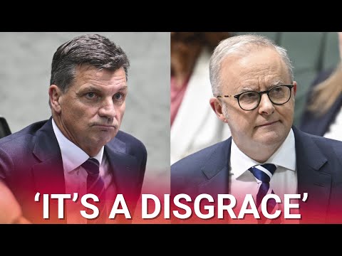 ‘It’s a disgrace’: Angus Taylor grills Albanese government's 'arrogance' thumbnail