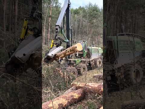 John Deere 1270G: When brute force becomes precision #forest #johndeere #harvester #logging #tree thumbnail
