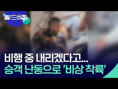 비행 중 내리겠다고 난동…승객들이 제압 [월드24/월드플러스] / KBS  2026.06.04. thumbnail