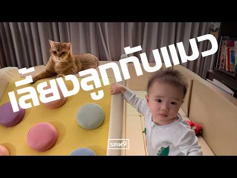 แชร์ประสบการณ์ เลี้ยงลูกกับแมว thumbnail