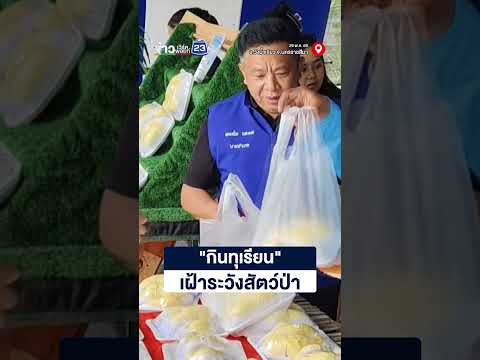 ขายทุเรียนหนุนจิตอาสาผลักดันช้างป่า thumbnail