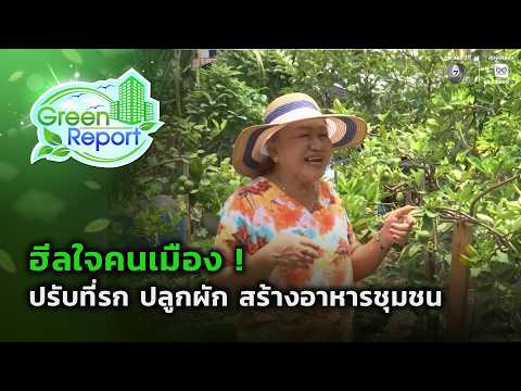 ฮีลใจคนเมือง ! ปรับที่รก ปลูกผัก สร้างอาหารชุมชน | Green Report thumbnail