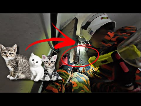 💢ANAK KUCING JATUH DALAM LUBANG😱-IJAT CELORENG thumbnail