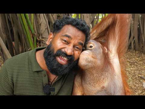 ഇങ്ങനെയൊക്കെ ചെയ്യാമോ | Safari Park Thailand | Episode 6 | M4 Tech | thumbnail