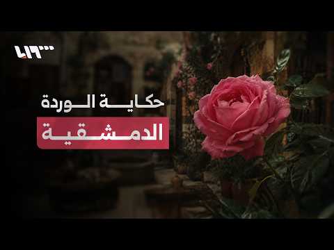حكاية الوردة الدمشقية..من أزقة دمشق إلى العالم thumbnail