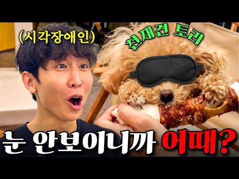 함께 눈 가리고 살아보는 하루... 토리야 넌 어때? thumbnail
