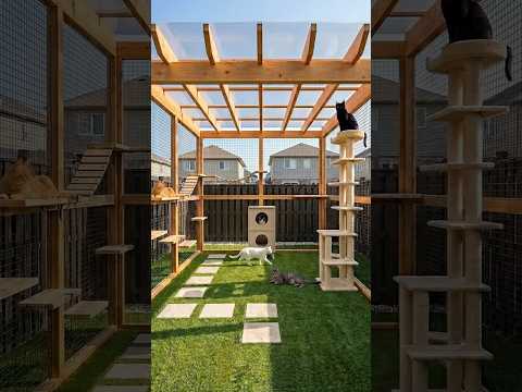 ✅ Modern DIY Luxury Catio Build ? | thumbnail
