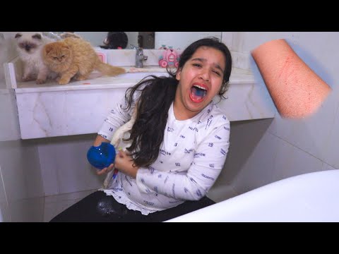😱شفا سبحت قططها أول مرة ! خربشتها thumbnail