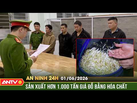 Khởi tố nhóm sản xuất hàng nghìn tấn giá đỗ bằng hóa chất cấm | An ninh 24h ngày 1/6 | ANTV thumbnail
