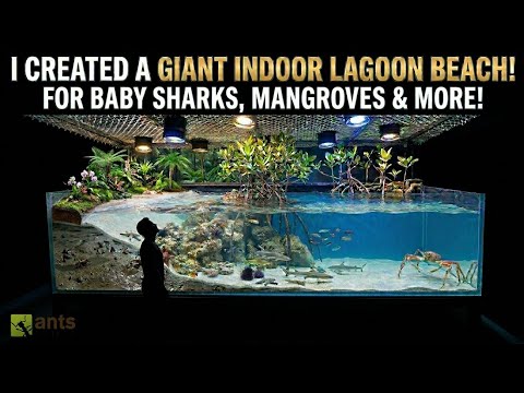 I Created a Giant Indoor Lagoon Beach thumbnail
