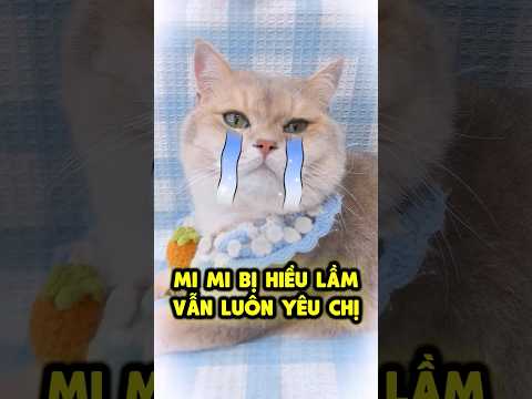 Mi Mi luôn âm thầm yêu thương tôi ❤️ thumbnail