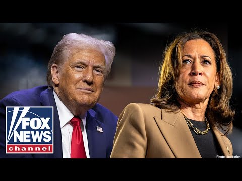 BOMBSHELL report on 2024 election RELEASED thumbnail