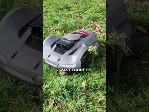 Ik Raak Mijn Grasmaaier Niet Meer Aan… Dit Is Waarom (Sunseeker Elite X7 Gen 2 Robotmaaier) thumbnail