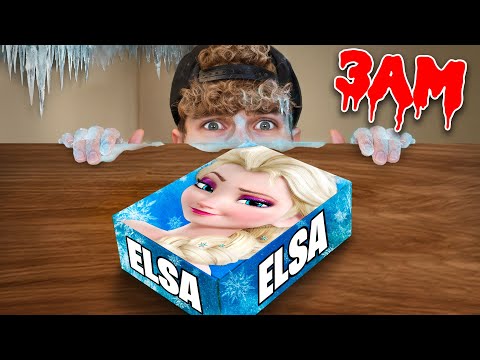 ÖFFNE NIEMALS ALLE MYSTERY ELSA BOXEN um 3 UHR!! thumbnail