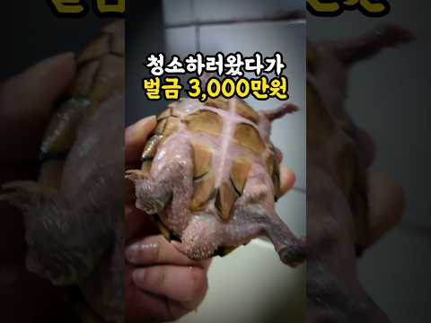 멸종 thumbnail