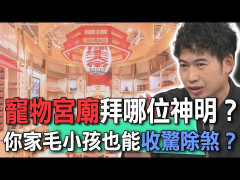 寵物宮廟拜哪位神明？你家毛小孩也能收驚除煞？【新聞挖挖哇】 thumbnail