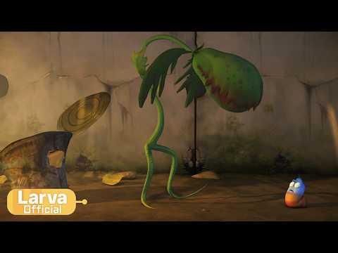 Growing a plant | Animation Compilation | Larva Tuba | Official thumbnail