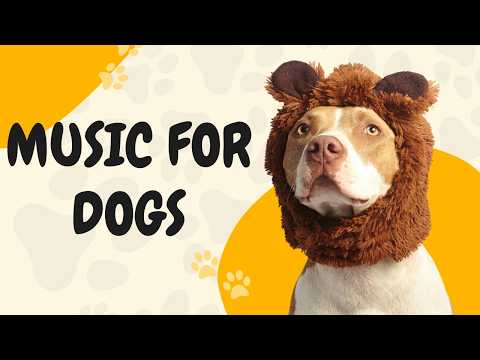 Relaxing Nature Music Dogs Find Deeply Comforting thumbnail
