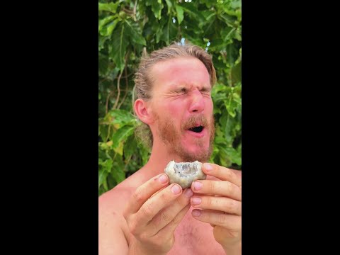 Insane Stinky Fruit thumbnail