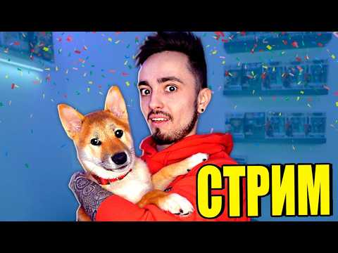 ❤️ОБНОВЛЕНИЕ РЕПО - ПРОХОДИМ 40 УРОВНЕЙ ИЛИ БЕСКОНЕЧНЫЙ СТРИМ thumbnail