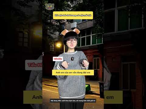 Khi một chú chó lang thang được nhận nuôi thumbnail
