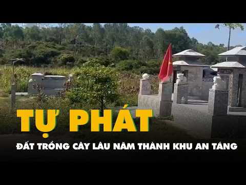 Đất trồng cây lâu năm bị 'phân lô bán mộ' thành khu an táng tự phát thumbnail
