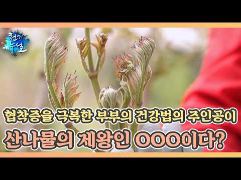 협착증을 극복한 부부의 건강법의 주인공이 산나물의 제왕인 OOO이다? MBN 260515 방송 thumbnail