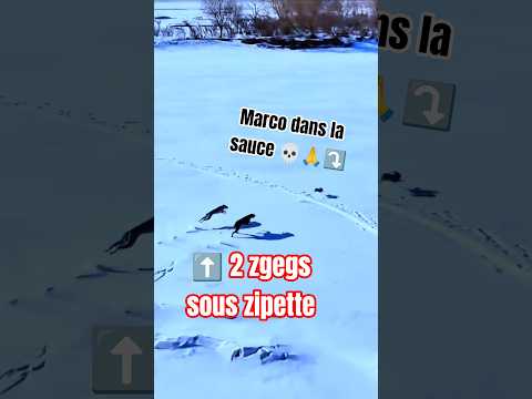 MARCO LE LIÈVRE ? thumbnail