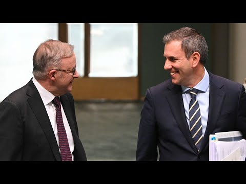 Albanese and Chalmers are ‘not the people to trust’ with ‘godlike’ discretionary powers: Paterson thumbnail