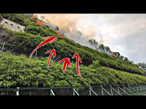 💢KEBAKARAN HUTAN LERENG BUKIT PUNCAK JALIL🔥😱 thumbnail