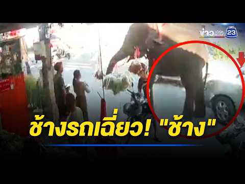 ช้างโดนรถเฉี่ยว! ขณะเดินเรียงแถว l ตลาดข่าว - ข่าวเช้าเวิร์คพอยท์ l 29 พ.ค.69 thumbnail