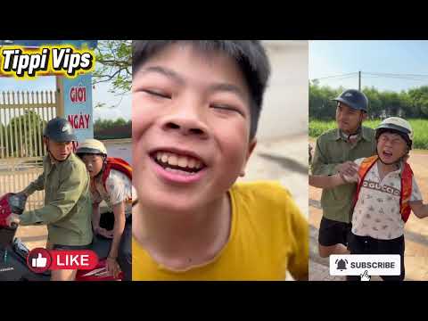 Tổng Hợp Các Video Hay Nhất Của Team Tippi Phần 43| |Tippi Vips #tippitv #tippivips thumbnail
