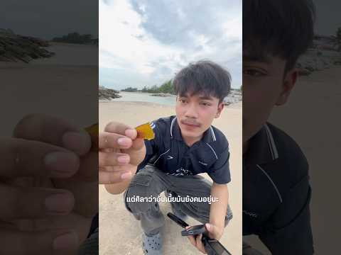 หา Sea Glass บนชายหาด จะได้ของแรร์ไหม!!? Ep.1 #ไอต้าวศิลา #seaglass thumbnail