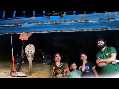 आप सोच भी नहीं सकते कहां छुपा था, ऐसा कैसे हो सकता है।  Venomous Cobra Snake Rescue in India thumbnail