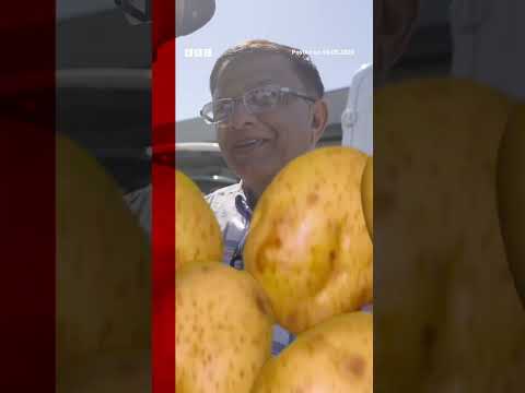The demand for Indian mangoes has soared as cargo prices go up. #BBCNews thumbnail