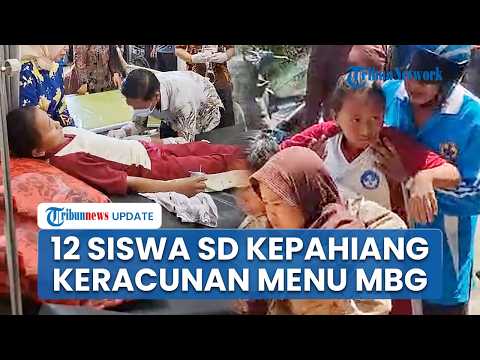 Kondisi 12 Siswa SD di Kepahiang Keracunan Massal seusai Santap Menu MBG, Dilarikan ke Puskesmas thumbnail