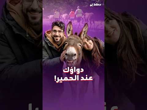 حضن، دردشة، ومشوار مع حمار 🫏 .. وصفة طبية معتمدة في فرنسا لمرضى القلق والاكتئاب وانفصام الشخصية thumbnail